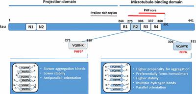 The Role of Copper in Tau-Related Pathology in Alzheimer’s Disease